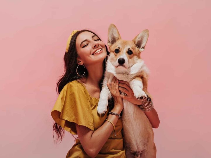 kennelsyndroom hond