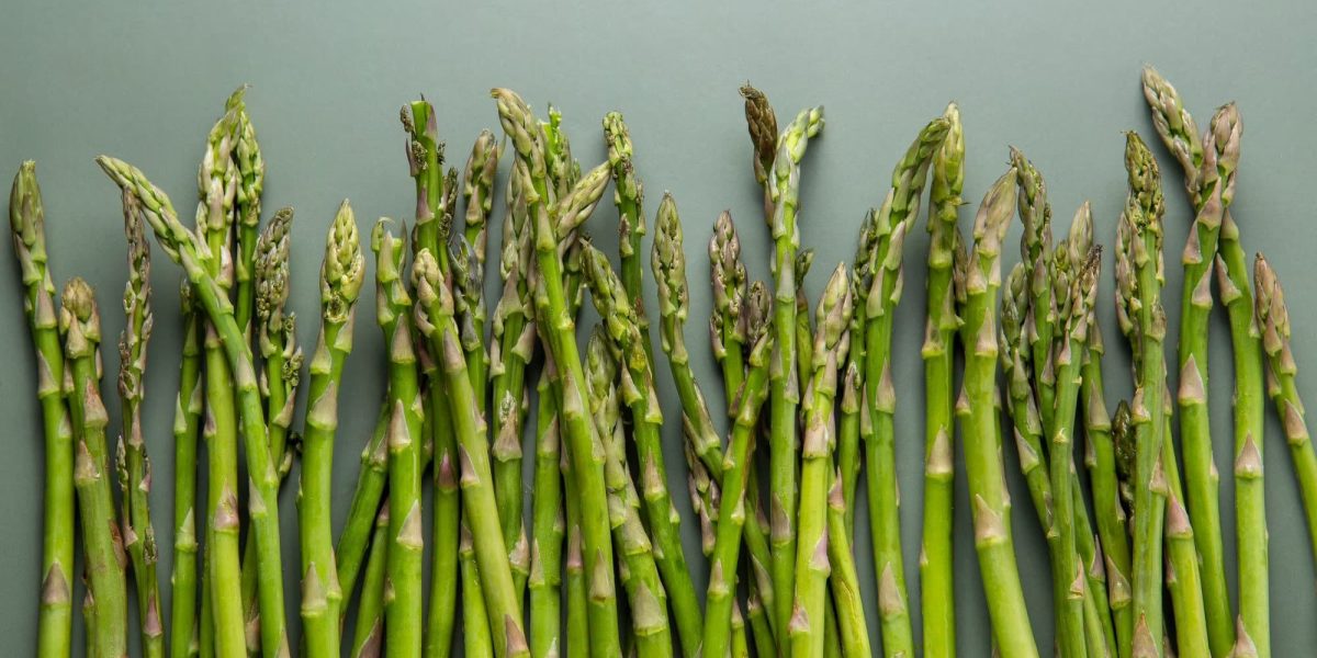 mag een hond asperge