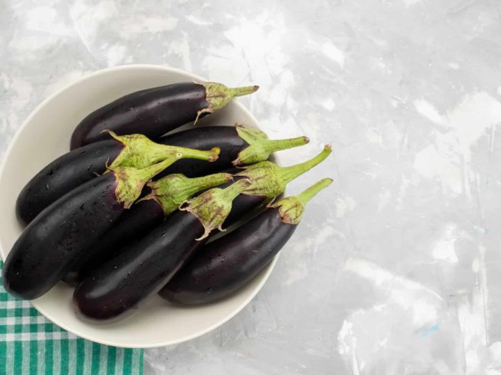 mag een hond aubergine