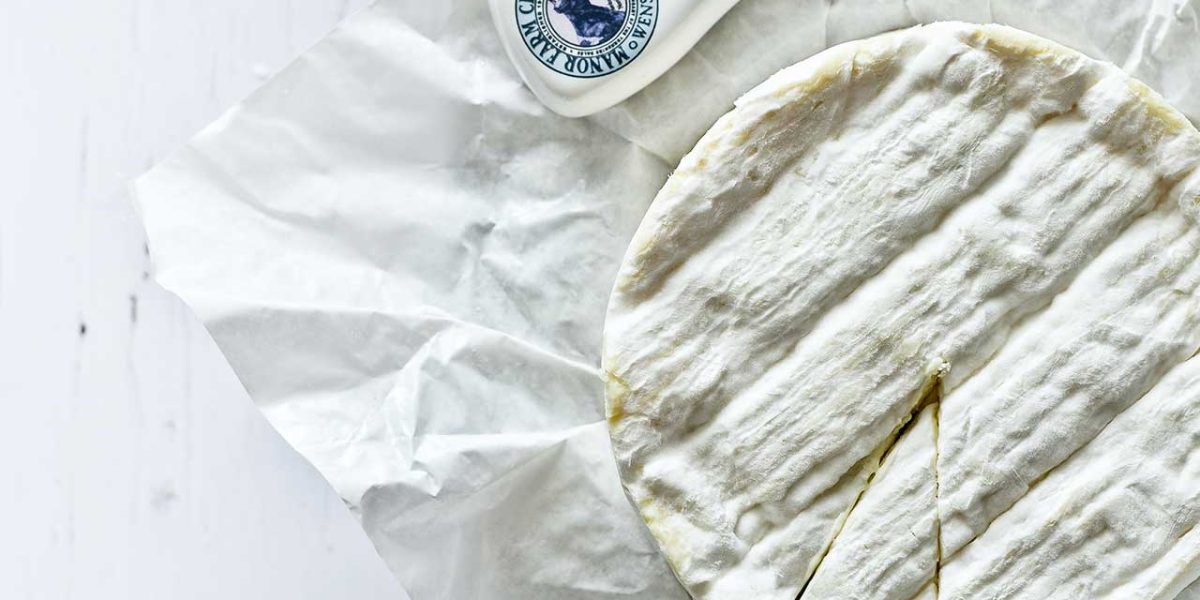 mag een hond brie