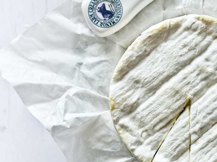 mag een hond brie