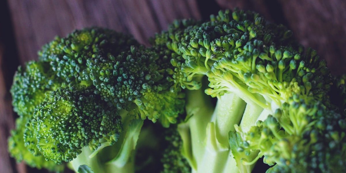 mag een hond broccoli