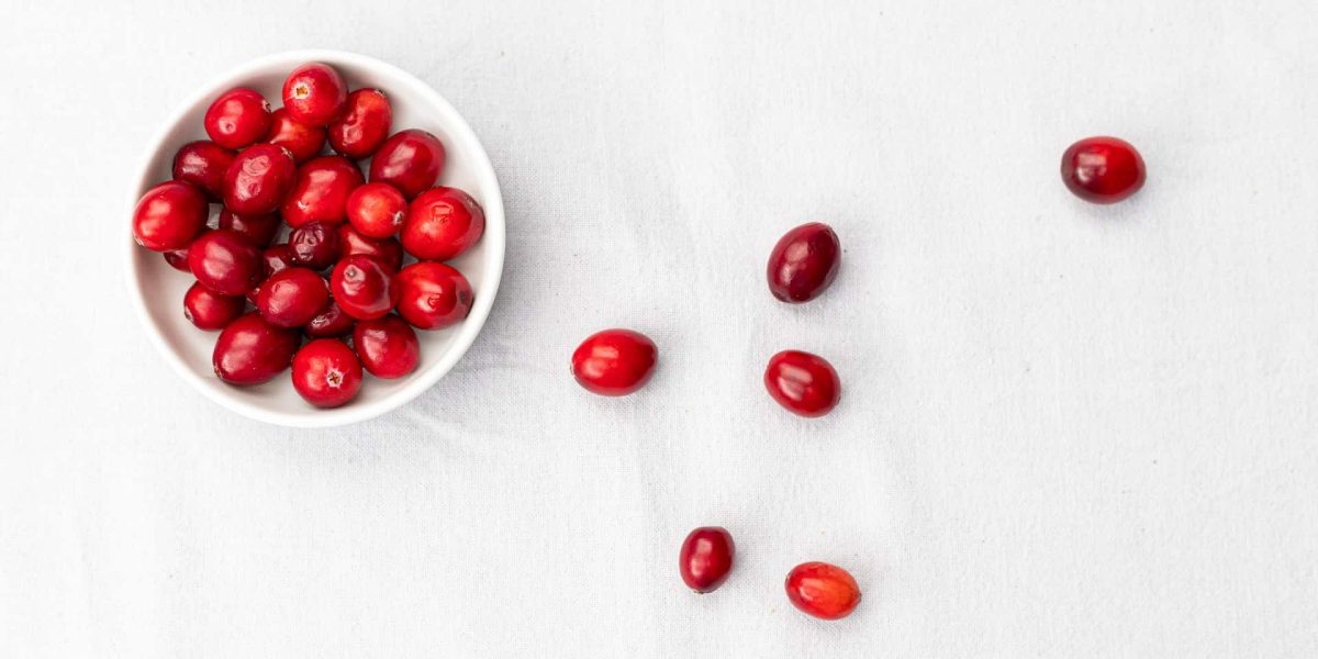 mag een hond cranberry
