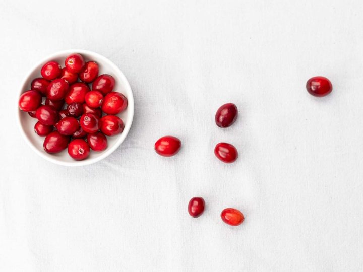 mag een hond cranberry