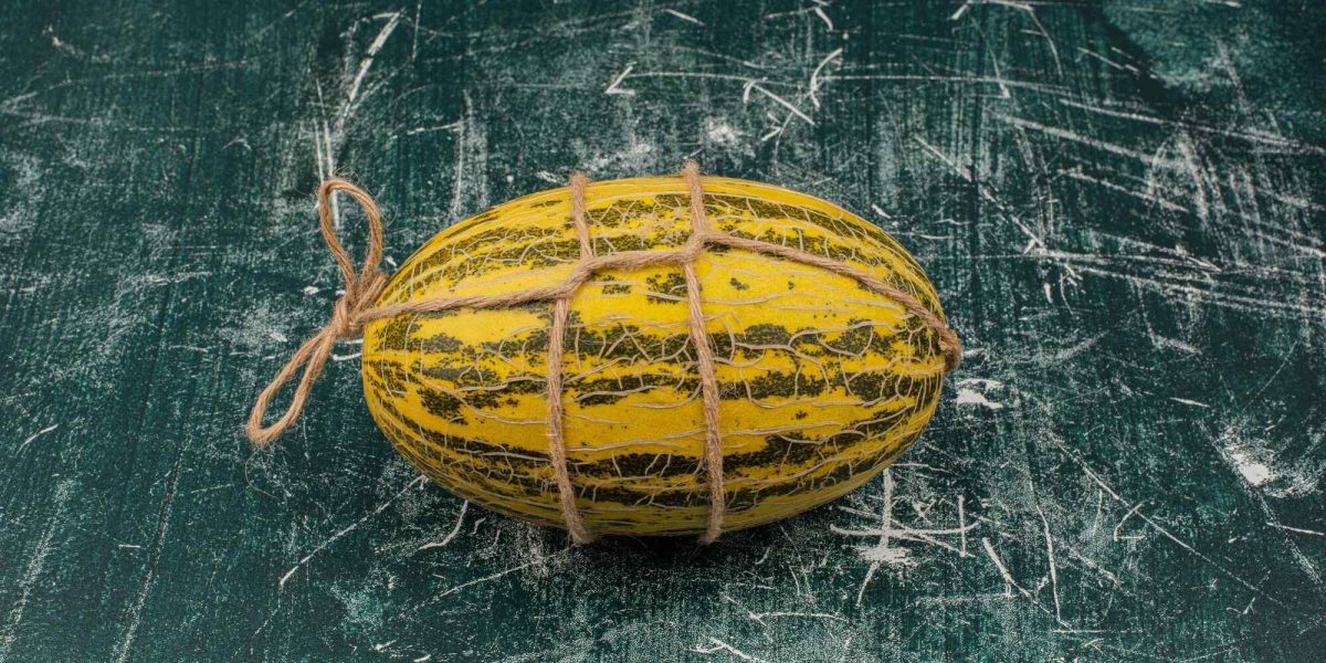 mag een hond jackfruit