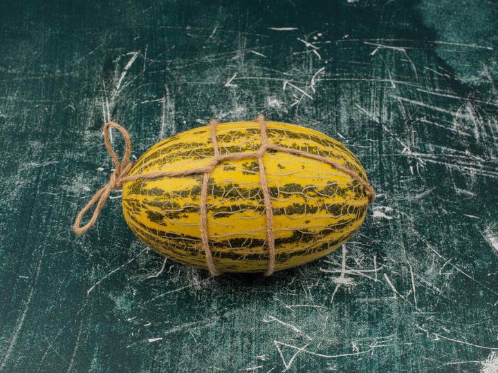 mag een hond jackfruit