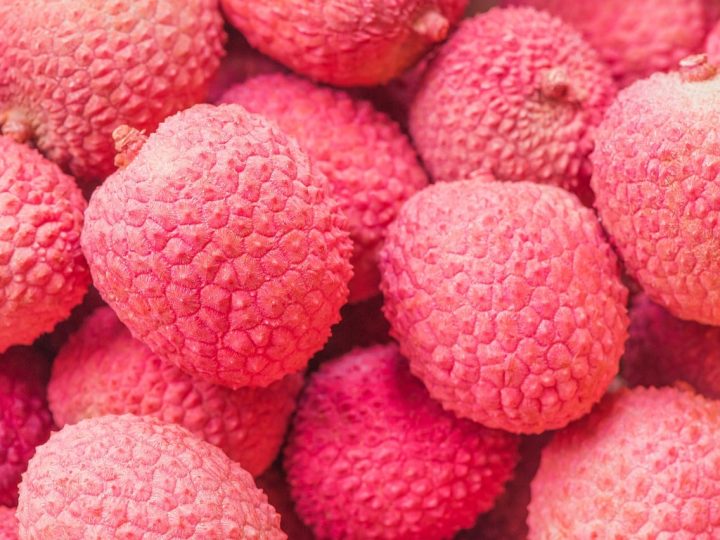 mag een hond lychee