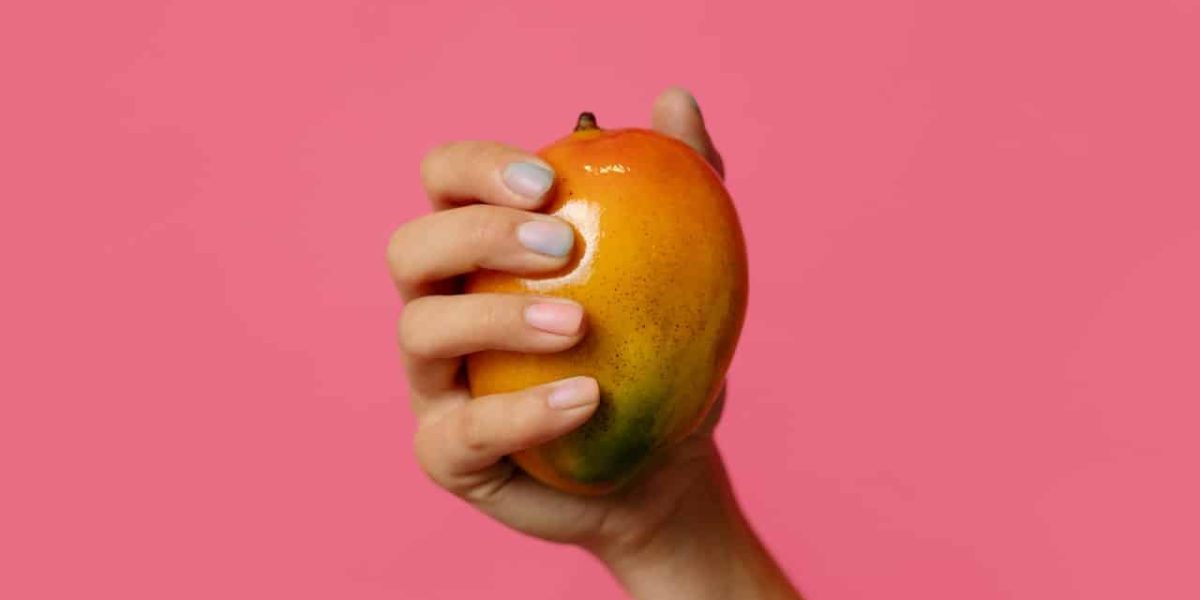 mag een hond mango