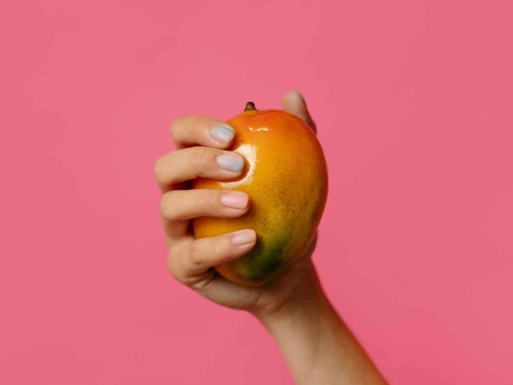mag een hond mango