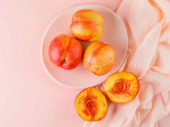 mag een hond nectarine
