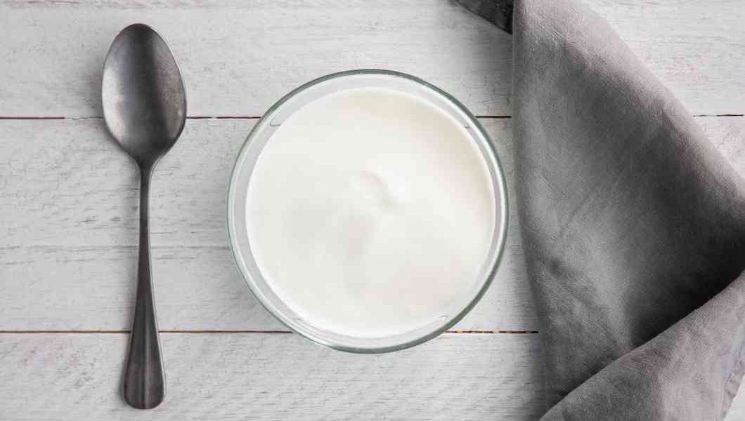 mag een hond yoghurt