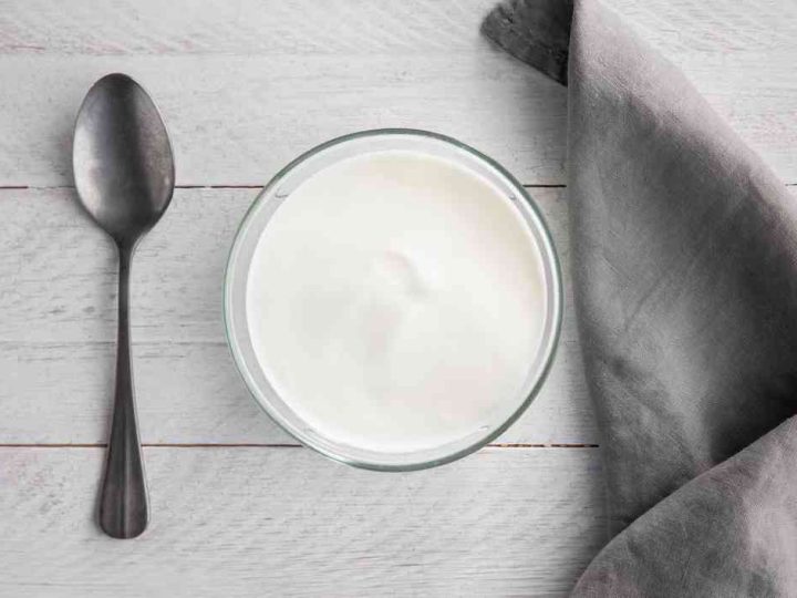 mag een hond yoghurt