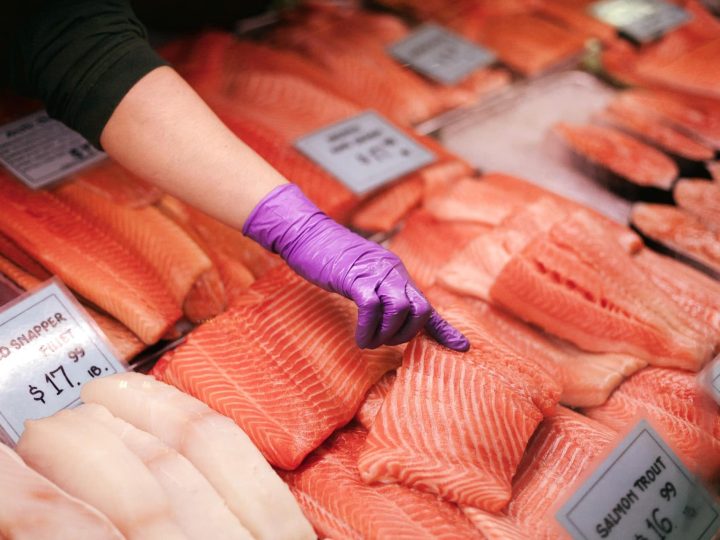 mag een hond zalm eten