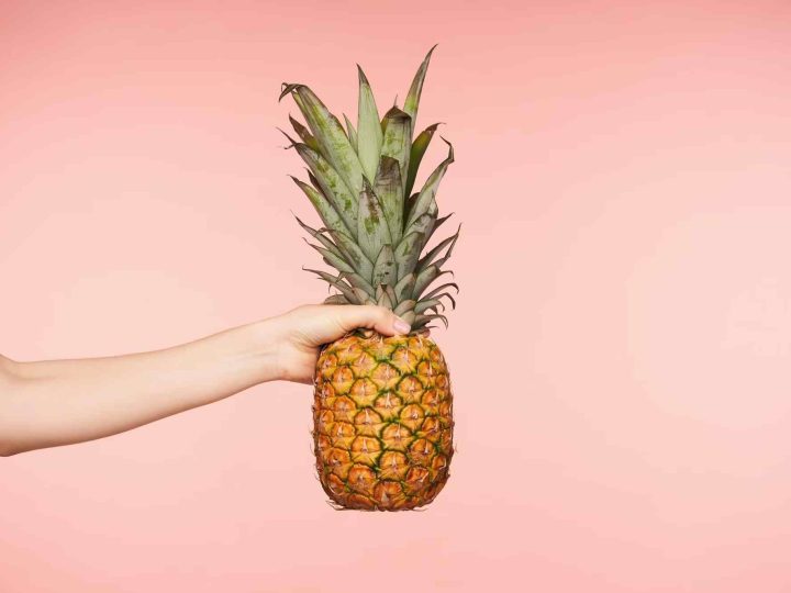 mag mijn hond ananas eten