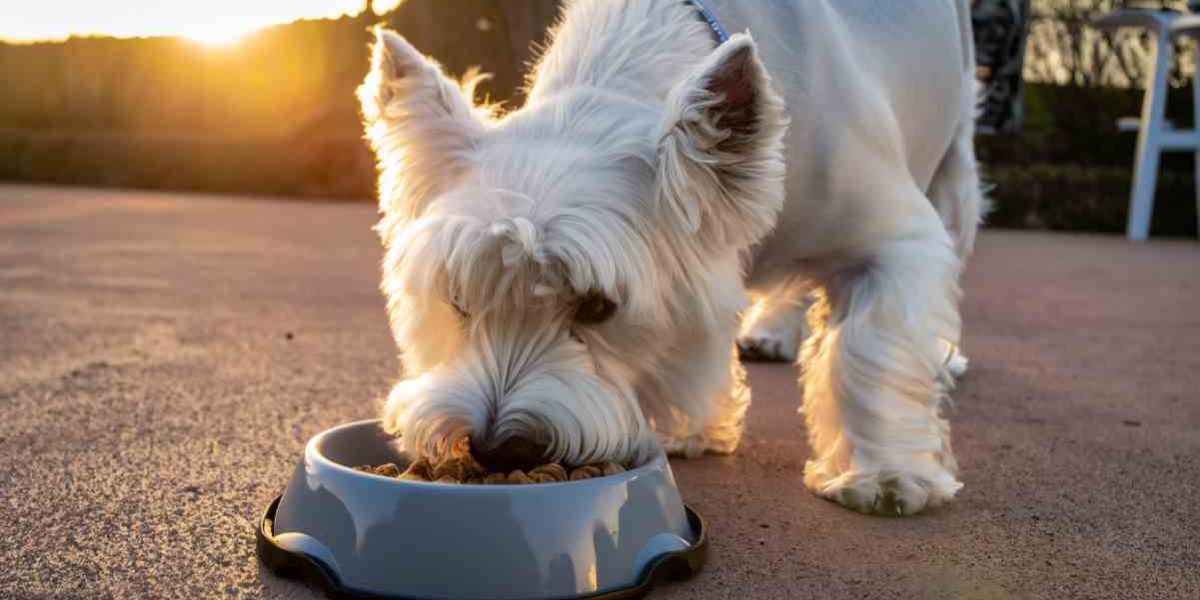 purina hondenvoer