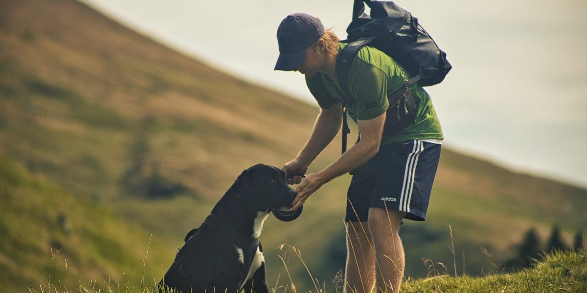 hoe oud wordt een hond