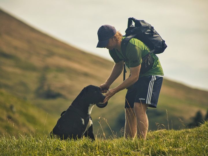 hoe oud wordt een hond